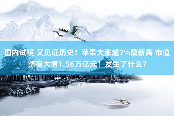 国内试镜 又见证历史！苹果大涨超7%鼎新高 市值整宿大增1.56万亿元！发生了什么？