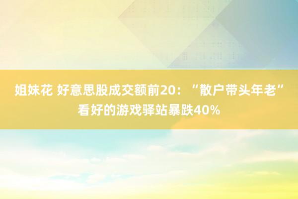 姐妹花 好意思股成交额前20：“散户带头年老”看好的游戏驿站暴跌40%