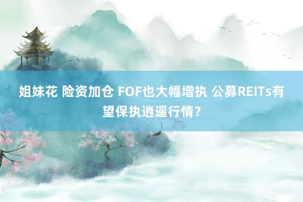 姐妹花 险资加仓 FOF也大幅增执 公募REITs有望保执逍遥行情？