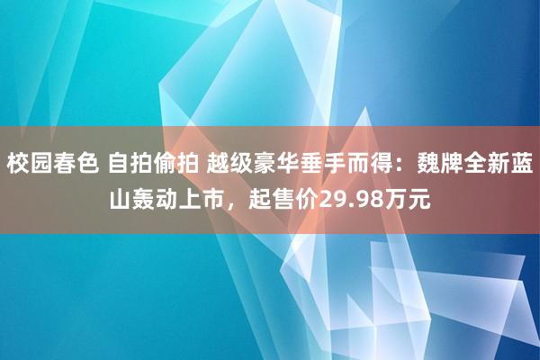 校园春色 自拍偷拍 越级豪华垂手而得：魏牌全新蓝山轰动上市，起售价29.98万元