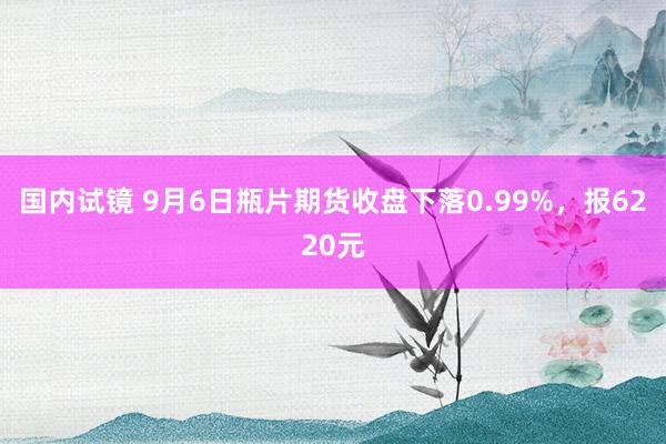 国内试镜 9月6日瓶片期货收盘下落0.99%，报6220元