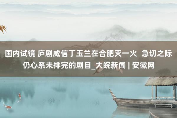 国内试镜 庐剧威信丁玉兰在合肥灭一火  急切之际仍心系未排完的剧目_大皖新闻 | 安徽网