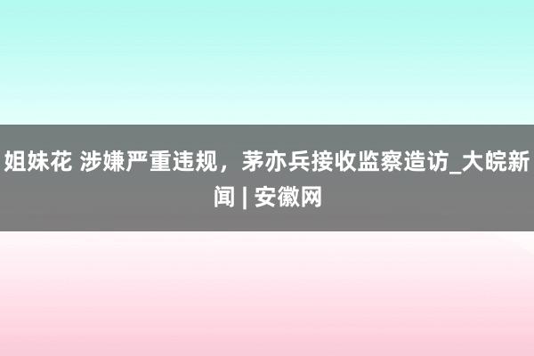 姐妹花 涉嫌严重违规，茅亦兵接收监察造访_大皖新闻 | 安徽网