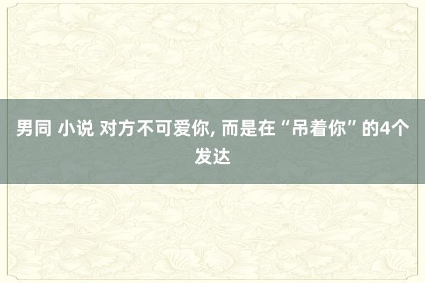 男同 小说 对方不可爱你， 而是在“吊着你”的4个发达