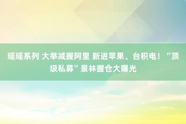 瑶瑶系列 大举减握阿里 新进苹果、台积电！“顶级私募”景林握仓大曝光