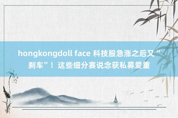 hongkongdoll face 科技股急涨之后又“刹车”！这些细分赛说念获私募爱重