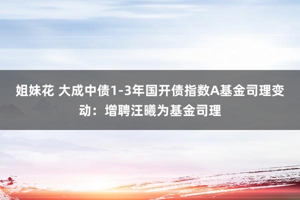 姐妹花 大成中债1-3年国开债指数A基金司理变动：增聘汪曦为基金司理