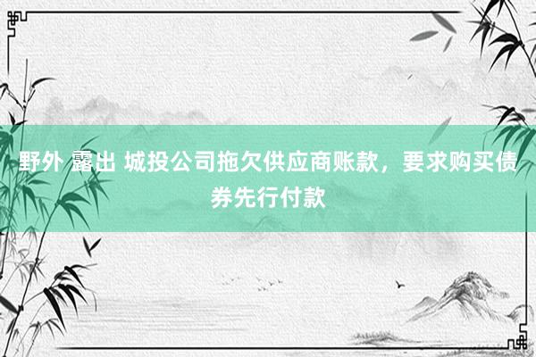 野外 露出 城投公司拖欠供应商账款，要求购买债券先行付款