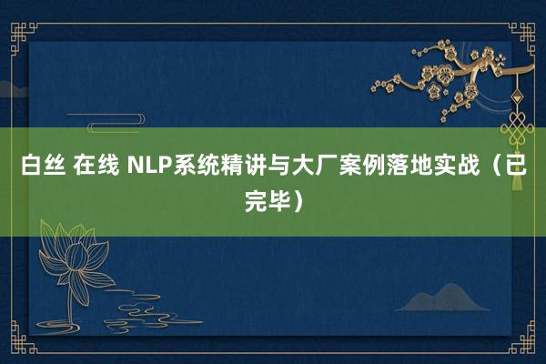 白丝 在线 NLP系统精讲与大厂案例落地实战（已完毕）