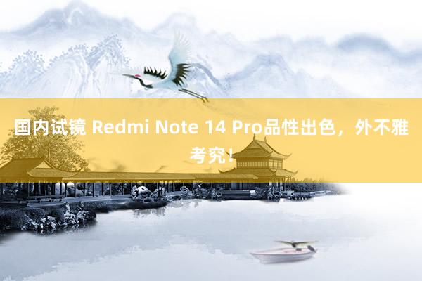 国内试镜 Redmi Note 14 Pro品性出色，外不雅考究！