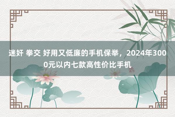 迷奸 拳交 好用又低廉的手机保举，2024年3000元以内七款高性价比手机