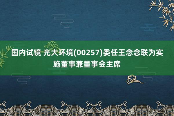 国内试镜 光大环境(00257)委任王念念联为实施董事兼董事会主席