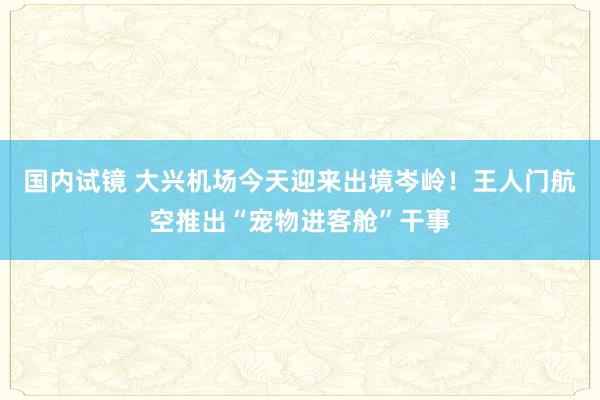 国内试镜 大兴机场今天迎来出境岑岭！王人门航空推出“宠物进客舱”干事