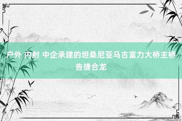 户外 内射 中企承建的坦桑尼亚马古富力大桥主桥告捷合龙