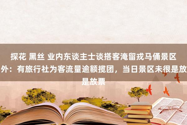 探花 黑丝 业内东谈主士谈搭客淹留戎马俑景区门外：有旅行社为客流量逾额揽团，当日景区未很是放票