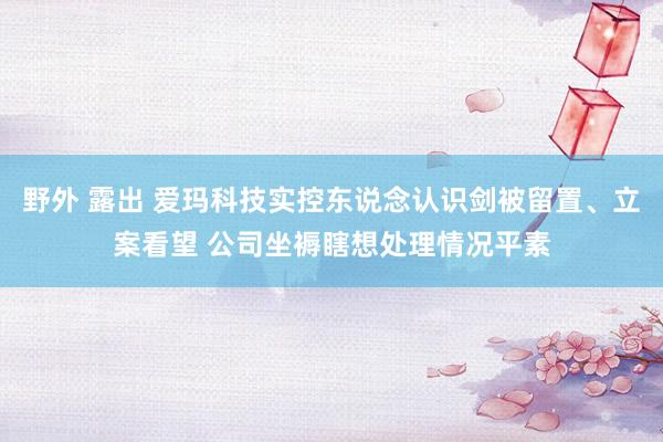 野外 露出 爱玛科技实控东说念认识剑被留置、立案看望 公司坐褥瞎想处理情况平素