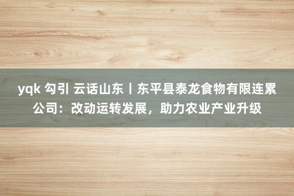 yqk 勾引 云话山东丨东平县泰龙食物有限连累公司：改动运转发展，助力农业产业升级