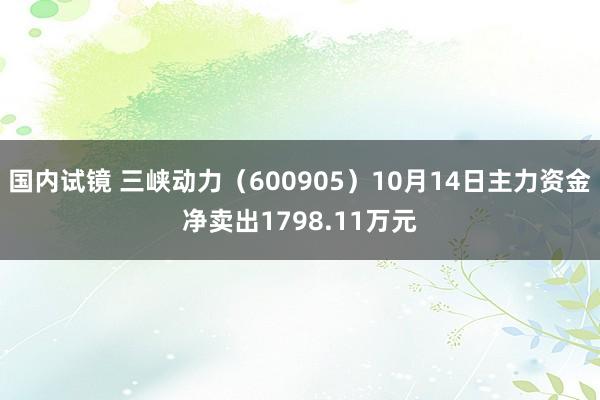 国内试镜 三峡动力（600905）10月14日主力资金净卖出1798.11万元