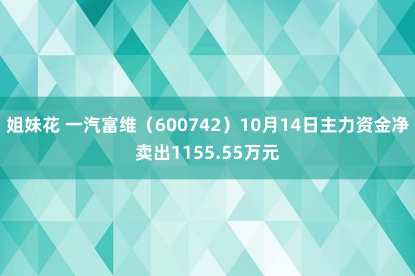 姐妹花 一汽富维（600742）10月14日主力资金净卖出1155.55万元