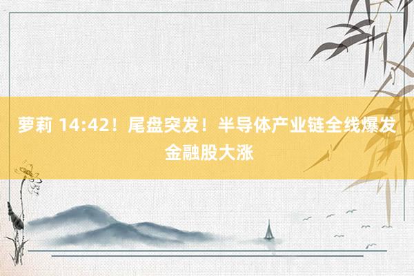 萝莉 14:42！尾盘突发！半导体产业链全线爆发 金融股大涨