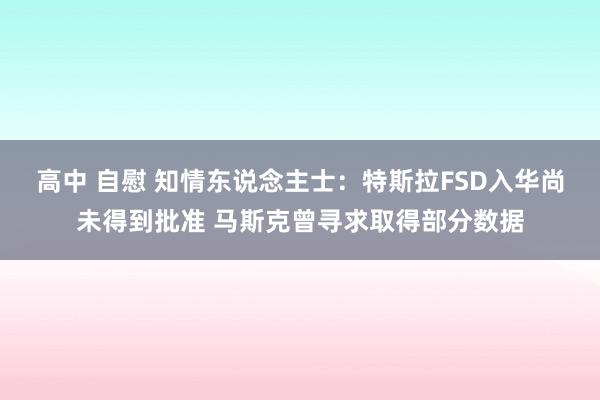 高中 自慰 知情东说念主士：特斯拉FSD入华尚未得到批准 马斯克曾寻求取得部分数据