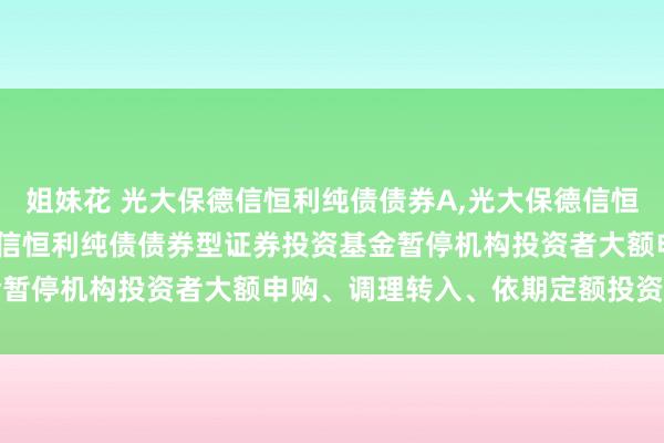 姐妹花 光大保德信恒利纯债债券A，光大保德信恒利纯债债券D: 光大保德信恒利纯债债券型证券投资基金暂停机构投资者大额申购、调理转入、依期定额投资的公告