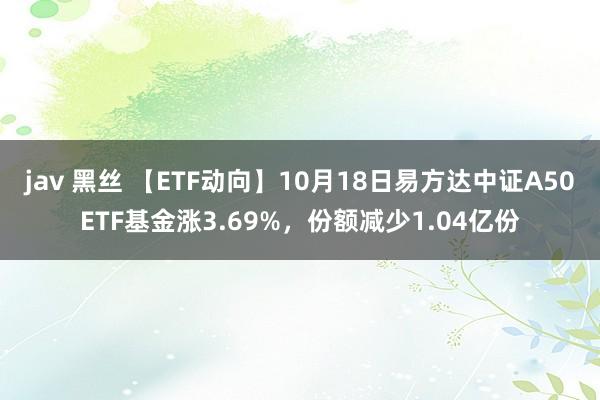 jav 黑丝 【ETF动向】10月18日易方达中证A50ETF基金涨3.69%，份额减少1.04亿份