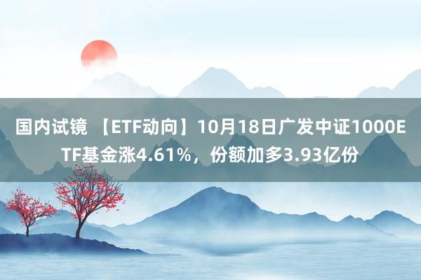 国内试镜 【ETF动向】10月18日广发中证1000ETF基金涨4.61%，份额加多3.93亿份