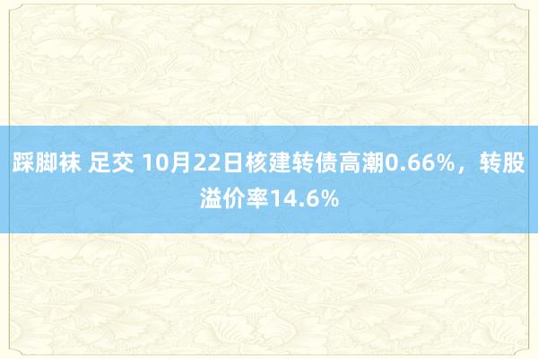 踩脚袜 足交 10月22日核建转债高潮0.66%，转股溢价率14.6%