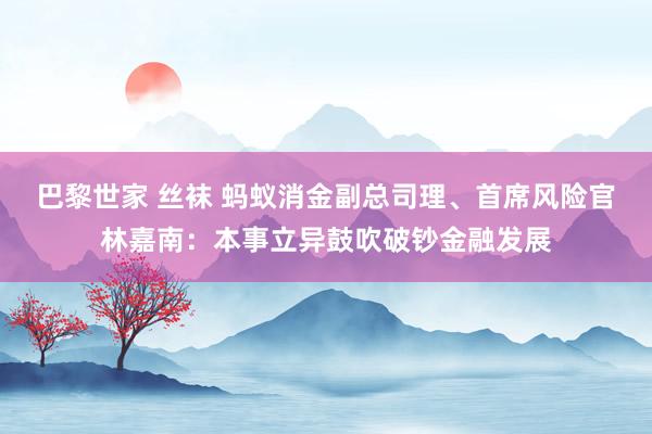 巴黎世家 丝袜 蚂蚁消金副总司理、首席风险官林嘉南：本事立异鼓吹破钞金融发展