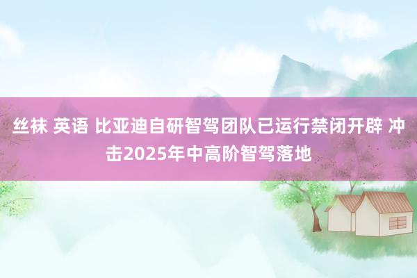 丝袜 英语 比亚迪自研智驾团队已运行禁闭开辟 冲击2025年中高阶智驾落地