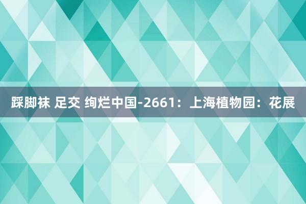 踩脚袜 足交 绚烂中国-2661：上海植物园：花展