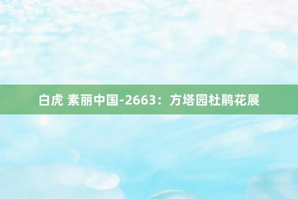 白虎 素丽中国-2663：方塔园杜鹃花展