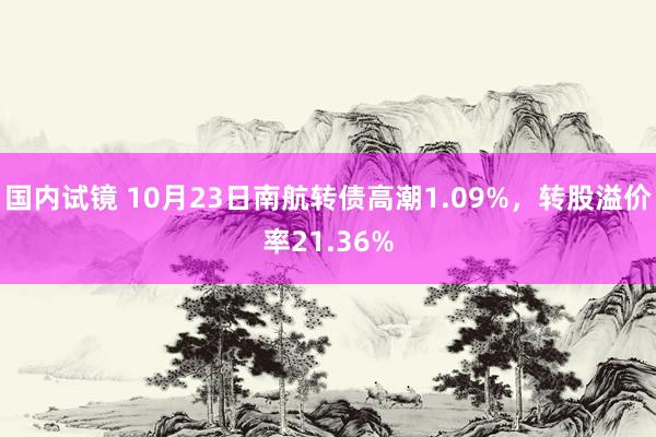 国内试镜 10月23日南航转债高潮1.09%，转股溢价率21.36%