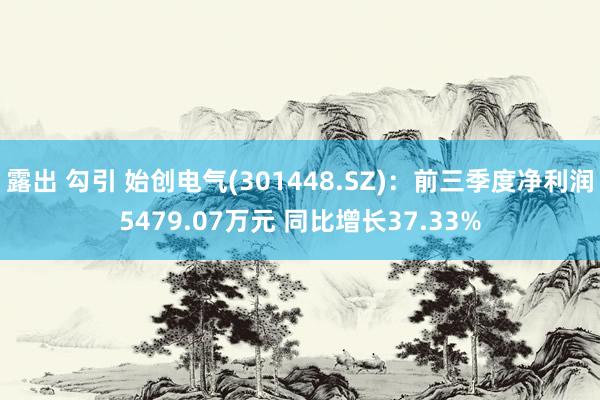 露出 勾引 始创电气(301448.SZ)：前三季度净利润5479.07万元 同比增长37.33%