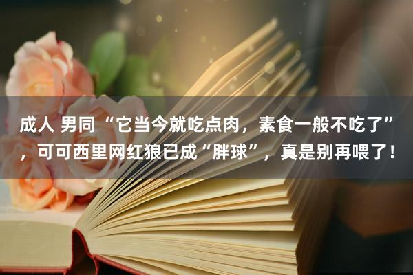 成人 男同 “它当今就吃点肉，素食一般不吃了”，可可西里网红狼已成“胖球”，真是别再喂了！