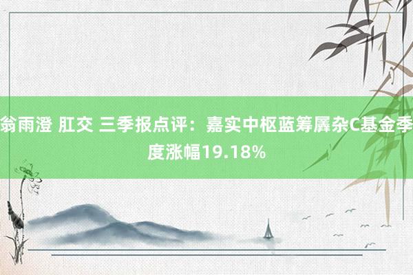 翁雨澄 肛交 三季报点评：嘉实中枢蓝筹羼杂C基金季度涨幅19.18%