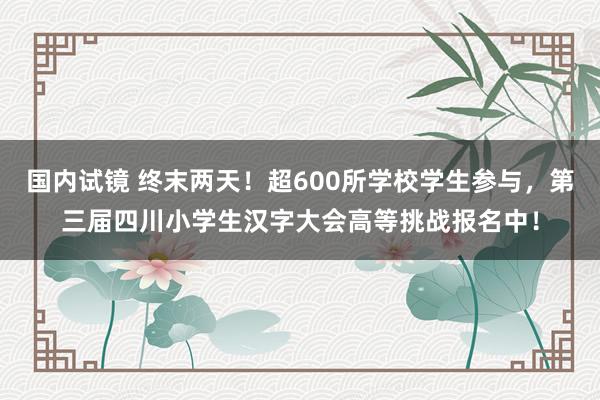 国内试镜 终末两天！超600所学校学生参与，第三届四川小学生汉字大会高等挑战报名中！