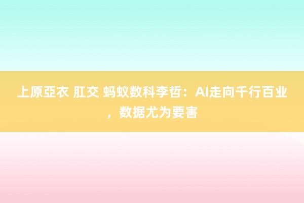 上原亞衣 肛交 蚂蚁数科李哲：AI走向千行百业，数据尤为要害