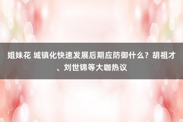 姐妹花 城镇化快速发展后期应防御什么？胡祖才、刘世锦等大咖热议