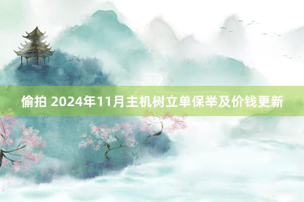 偷拍 2024年11月主机树立单保举及价钱更新