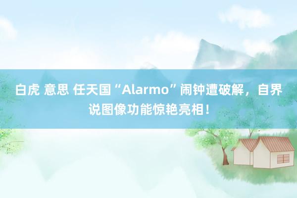 白虎 意思 任天国“Alarmo”闹钟遭破解，自界说图像功能惊艳亮相！