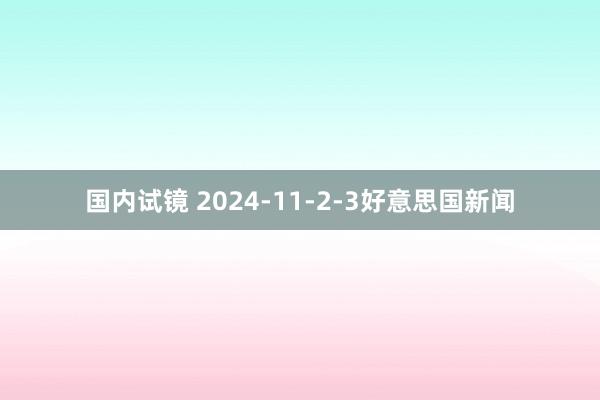 国内试镜 2024-11-2-3好意思国新闻