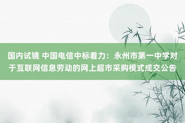 国内试镜 中国电信中标着力：永州市第一中学对于互联网信息劳动的网上超市采购模式成交公告