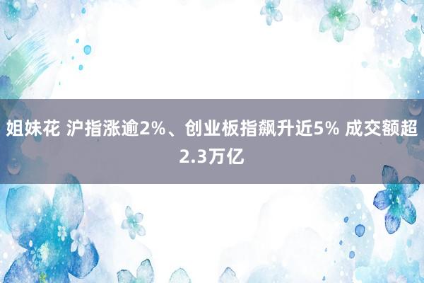 姐妹花 沪指涨逾2%、创业板指飙升近5% 成交额超2.3万亿