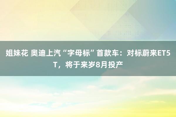 姐妹花 奥迪上汽“字母标”首款车：对标蔚来ET5T，将于来岁8月投产