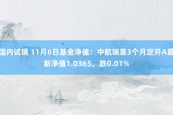 国内试镜 11月6日基金净值：中航瑞景3个月定开A最新净值1.0365，跌0.01%