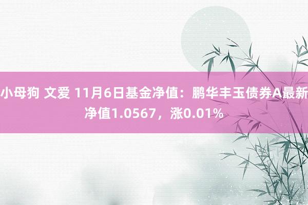 小母狗 文爱 11月6日基金净值：鹏华丰玉债券A最新净值1.0567，涨0.01%