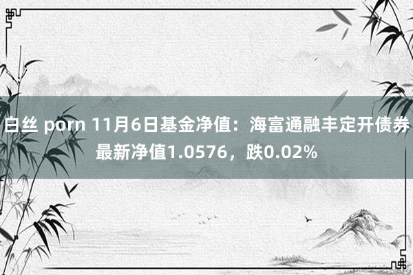 白丝 porn 11月6日基金净值：海富通融丰定开债券最新净值1.0576，跌0.02%