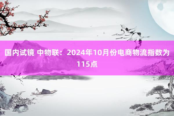 国内试镜 中物联：2024年10月份电商物流指数为115点